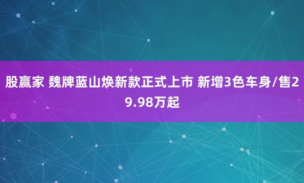 股赢家 魏牌蓝山焕新款正式上市 新增3色车身/售29.98万起