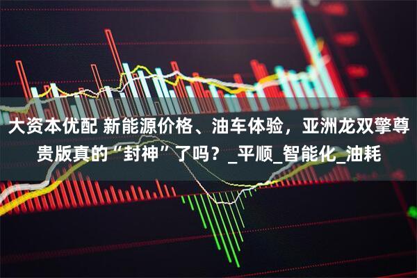 大资本优配 新能源价格、油车体验，亚洲龙双擎尊贵版真的“封神”了吗？_平顺_智能化_油耗