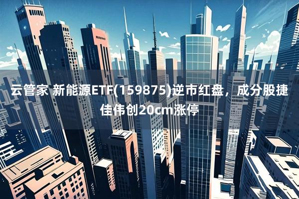 云管家 新能源ETF(159875)逆市红盘，成分股捷佳伟创20cm涨停